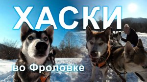 Зимние развлечения: Едем кататься на собачей упряжке из Хаски в Приморский край