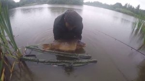 Прикормка для толстолобика