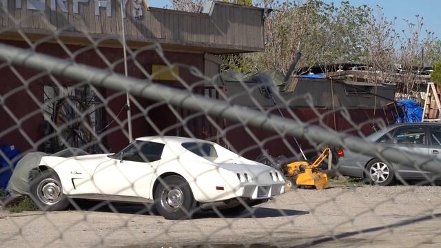 Самоизоляция продолжается | Отвечаю на вопросы подписчиков