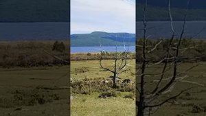 Поездка на озеро Хубсугул