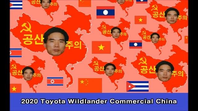 2020 Toyota Wildlander Commercial China