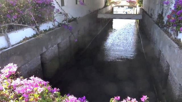 Гран-Канария, отель Gloria Palace San Agustin, Palmitos Park