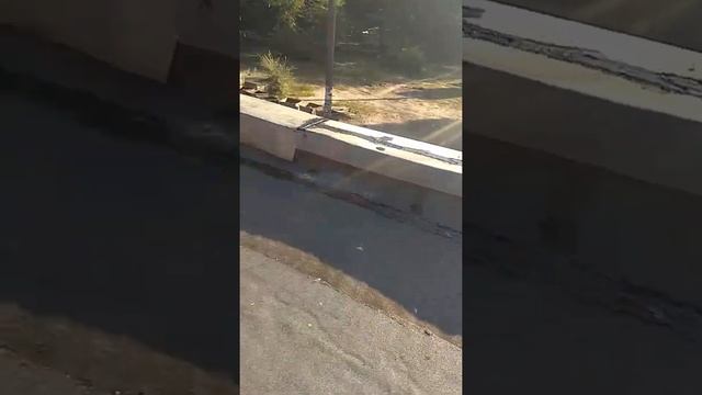 Магазинчик техноэластом в один слой смотреть онлайн