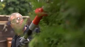 Кусторез телескопический FlexoTrim ATHS 10 8