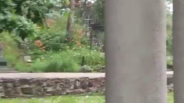 Жуткая история на старом кладбище в Шяуляе Литва
