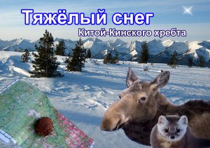 "Тайга".Тяжелый снег.mpg