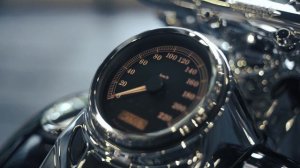Harley Davidson Softail Heritage 2012 - The SvB Chicano