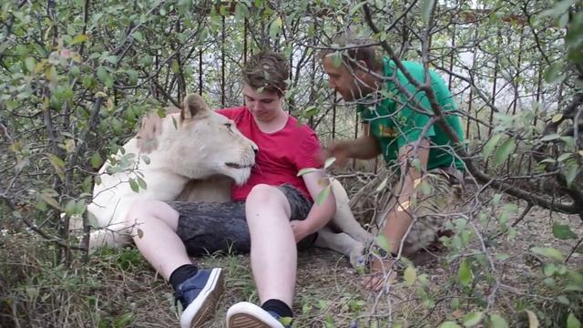 Фото-сесия в терновнике ! Тайган смотреть онлайн