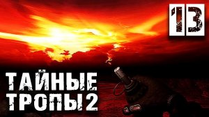 S.T.A.L.K.E.R.  Тайные Тропы 2 OGSR #13 ► Невероятный Бар