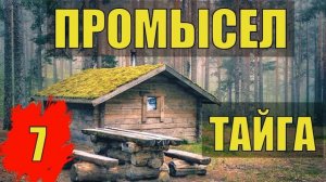 ТАЕЖНЫЙ ТУПИК НАПАДЕНИЕ МЕДВЕДЯ ПРОМЫСЕЛ ТАЙГЕ ОДИН С ЛАЙКОЙ ОДИНОЧЕСТВО ОТШЕЛЬНИКИ ЖИЗНЬ В ЛЕСУ 7