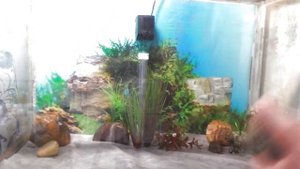 Донный фильтр в аквариум с Алиэкспресс