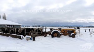 02-24-2018 - Lynden, WA - Snow Fun