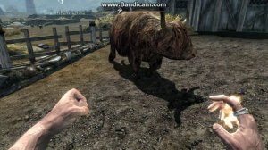 Epic Skyrim Moonwalk cow!!