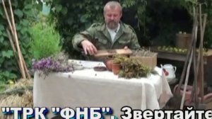 Усадьба Травовед