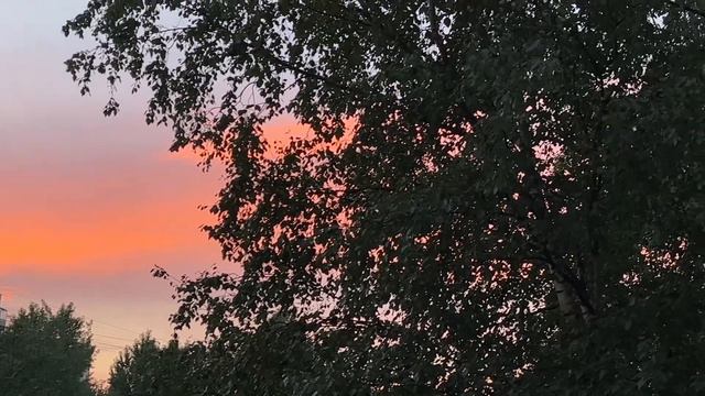 Карелия, температура и пиратские танцы! смотреть онлайн