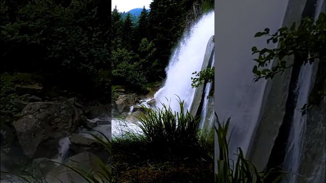 A really noisy waterfall. Powerful waterfall in the forest