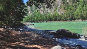 "Зачемалье" Горный Алтай. Чемал. Еланда. Ороктойский мост. Июнь 2022