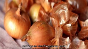 Луковая шелуха для огорода или сада — применение