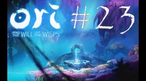 ОЧЕНЬ КРАСИВАЯ ЛОКАЦИЯ - Ori and the Will of the Wisps#23(XBOX ONE)