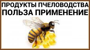 МЕД МАТОЧНОЕ МОЛОЧКО ПРОПОЛИС ПЫЛЬЦА - ПОЛЬЗА И ПРИМЕНЕНИЕ