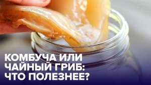 КОМБУЧА: что это такое, почему на ней все помешались?