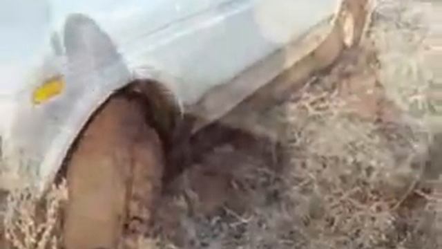 Нива - техника для рыбалки и охоты смотреть онлайн