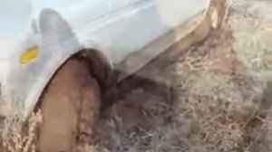 Нива - техника для рыбалки и охоты