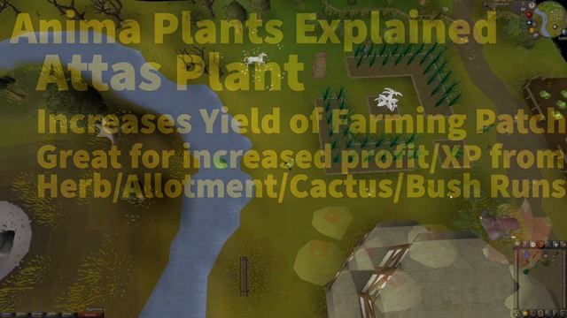 The Anima Patch Explained (Kronos, Attas, and Iasor) - OSRS 2007 смотреть онлайн