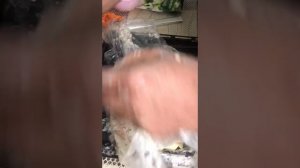 Как приготовить баранину вкусно и быстро