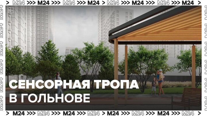Природный комплекс с сенсорной тропой обустроят в Гольянове - Москва 24