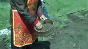 Процесс посадки и обработки льна - Просеивание семян льна (03)