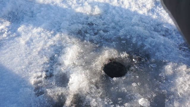 Зимняя рыбалка на окуня. Ловля на якорек. Открытие сезона 2017 - 2018