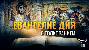 «МНОГО ДОБРЫХ ДЕЛ ПОКАЗАЛ Я ВАМ ОТ ОТЦА МОЕГО» / ЕВАНГЕЛИЕ ДНЯ