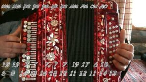 Черный кот, видеоразбор на гармони.