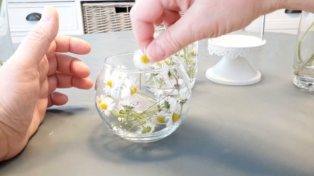 КОМПОЗИЦИЯ ИЗ ЖИВЫХ ОДУВАНЧИКОВ...A COMPOSITION OF LIVING Dandelion... смотреть онлайн