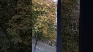 КАК СДЕЛАТЬ НАРУЖНЫЕ ОТКОСЫ ЕСЛИ ДЛИННАЯ СТВОРКА ОКНА