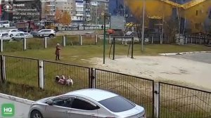 На школьников гимназии №2 напал бультерьер, который гулял без хозяйки