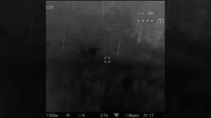 охота на кабана с вышки с тепловизором