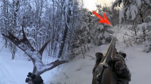 Вот это НАХОДКА! ПЯТЬ раз стрелял! Охота на ЗАЙЦА! Сезон 2023 - 2024г. #14