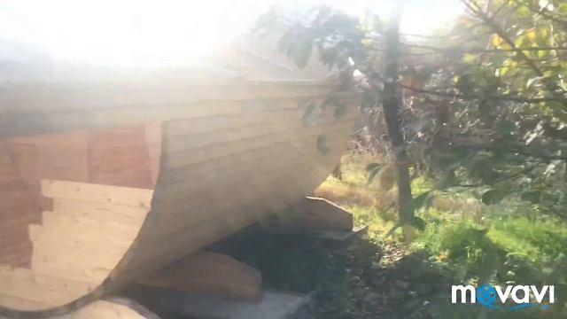 Злая собака / Дача в ноябре /чаепитие у мамы / смотреть онлайн