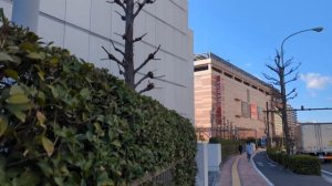 Что нужно знать в Японии? 3 базовых правила.