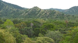 Komodo National Park, Indonesia  [Amazing Places 4K]