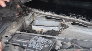 Вода в ногах у пассажира Honda Accord V (CC, CE) | Забитые водостоки