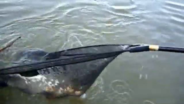 ты рыбак. смотреть онлайн