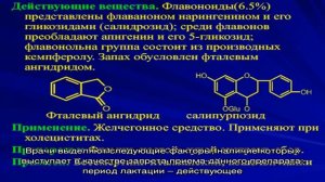Эффективность терапии грибкового цистита при помощи Флуконазола