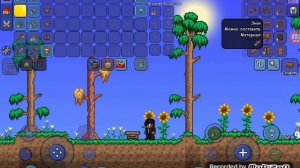 видио по терарии|первая часть?