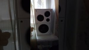 Электроника 25АС - 326 на альфардах