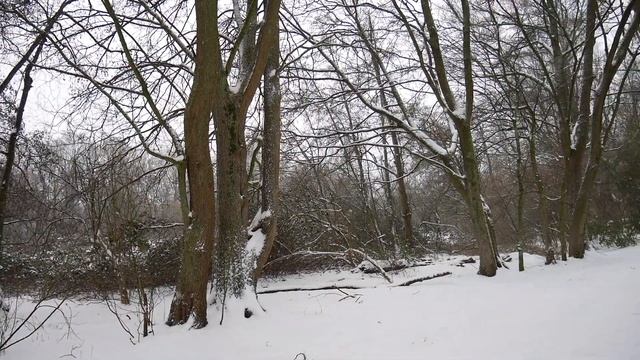 Schneewalzer смотреть онлайн