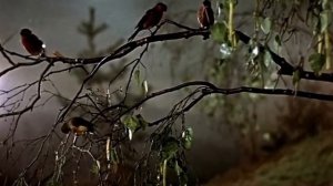 детское кино СССР   КАМЕННЫЙ ЦВЕТОК 01