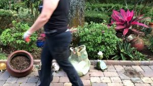 БЛАГОУСТРОЙСТВО НА УЧАСТКЕ У НАТАЛЬИ ФАЛЬКОНЕ